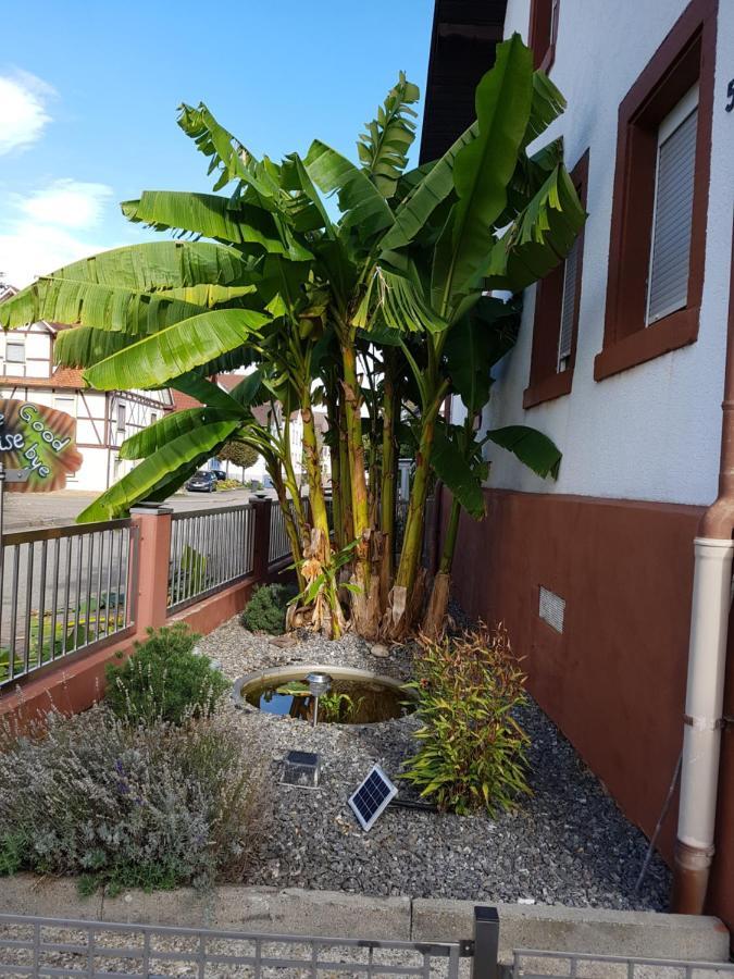 Marielies-Urlaubsstube Meissenheim Exterior foto